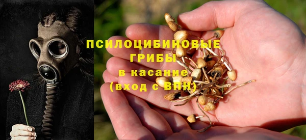 спиды Аркадак