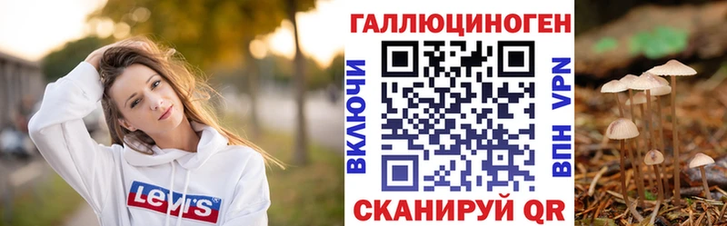 Галлюциногенные грибы Psilocybe Салехард