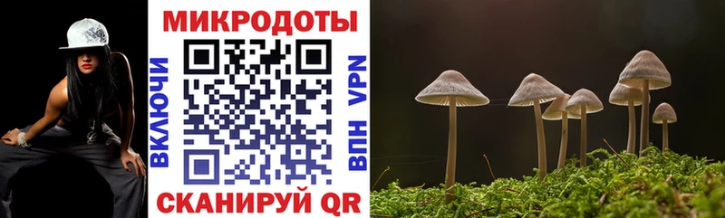 Псилоцибиновые грибы прущие грибы  дарнет шоп  Салехард 